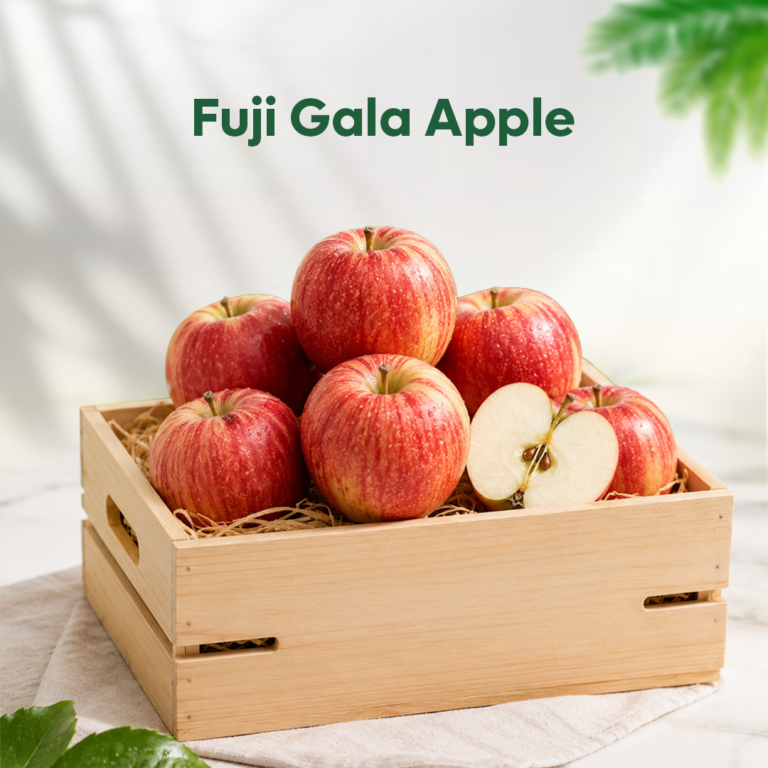 Premium Fuji Gala Apple (23KG)