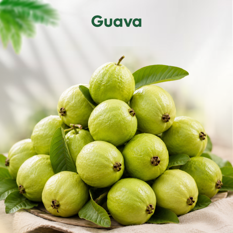 Premium Fresh Guava (25KG)