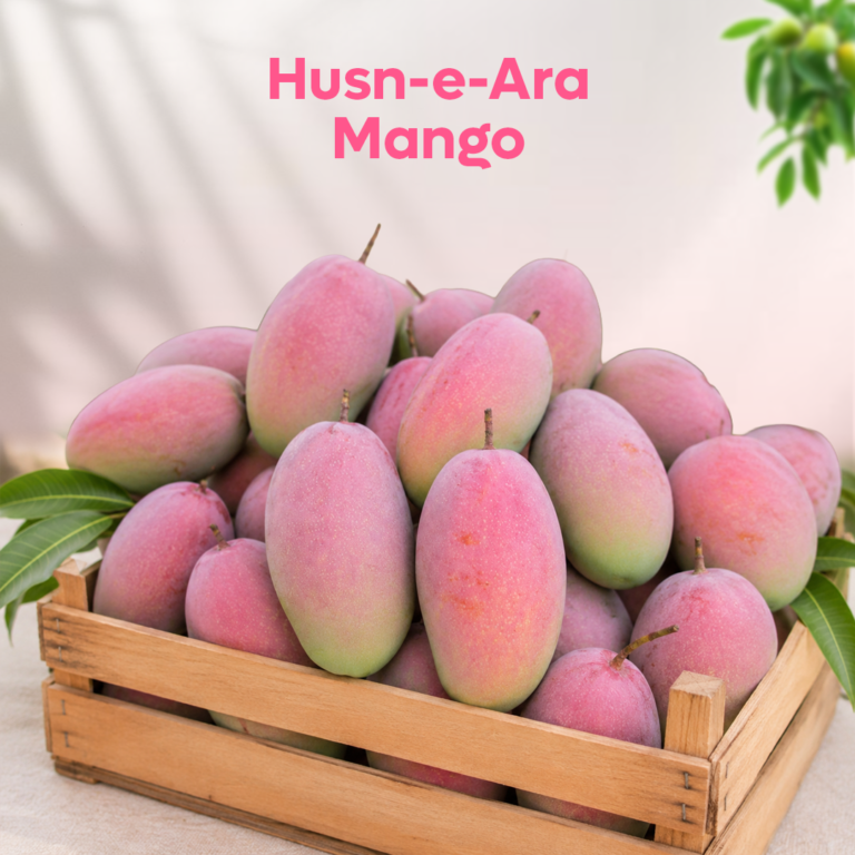 Husn-e-Ara Mango