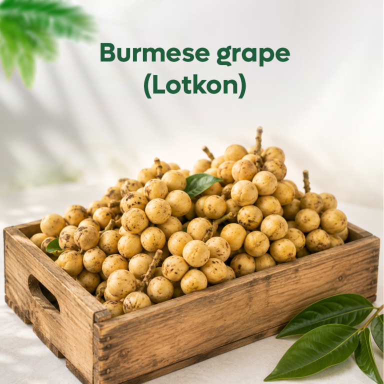 Premium Burmese Grape (Lotkon)