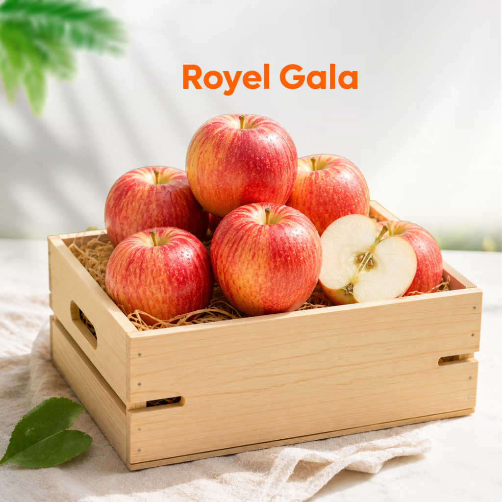 Premium Royal Gala Apple (20KG)