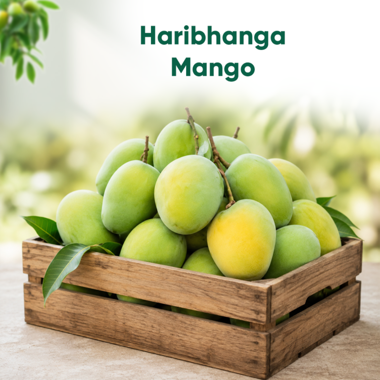 Premium Rangpur Haribhanga Mango