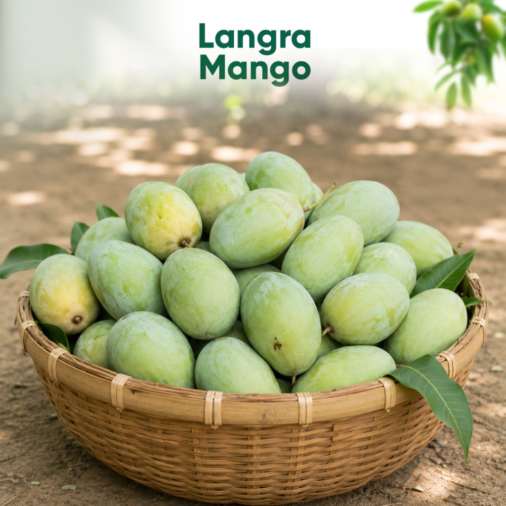 Langra Mango