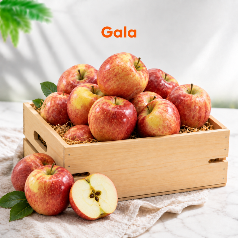 Gala (18kg)