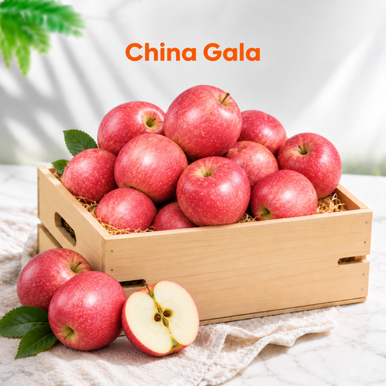 China Gala(20kg)